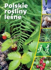 Polskie rośliny leśne - okładka książki