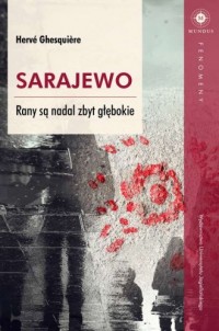 Sarajewo Rany są nadal zbyt głębokie. - okładka książki