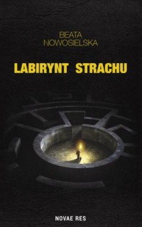 Labirynt strachu - okładka książki