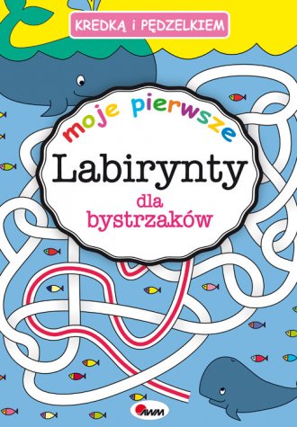 Kredką i pedzelkiem. Labirynty - okładka książki