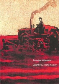 Dzienniki Zenona Kałuży - okładka książki