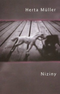 Niziny - okładka książki