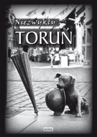 Niezwykły Toruń - okładka książki