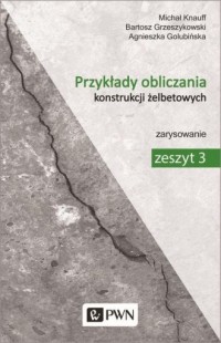 Przykłady obliczania konstrukcji - okładka książki