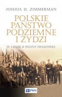 Polskie Państwo Podziemne i Żydzi - okładka książki