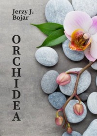 Orchidea - okładka książki