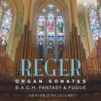 Reger Organ Sonatas - okładka płyty