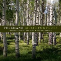 Teleman Flute Concertos - okładka płyty