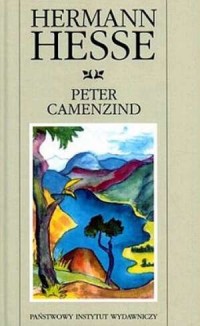 Peter Camenzind - okładka książki