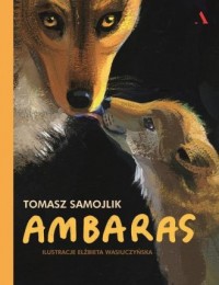 Ambaras - okładka książki