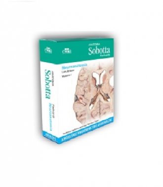 Anatomia Sobotta Flashcards Neuroanatomia.. - okładka książki