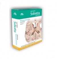 Anatomia Sobotta Flashcards Neuroanatomia. - okładka książki