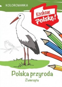 Kolorowanka. Polska przyroda zwierzęta - okładka książki