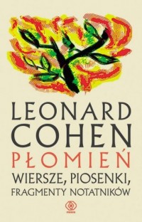 Płomień - okładka książki