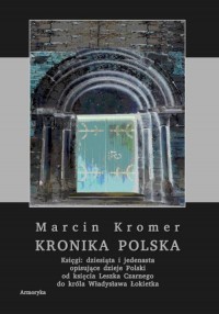 Kronika polska. Księgi: dziesiąta - okładka książki