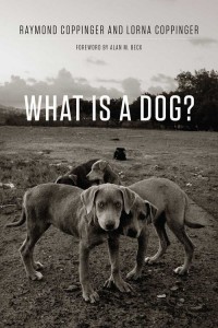 What Is a Dog? - okładka książki