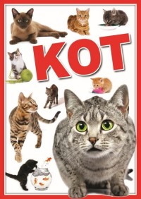 Koty - okładka książki