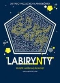 Labirynty. 30 fascynujących łamigłówek - okładka książki