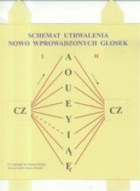 Schemat utrwalania nowo wprowadzonych - okładka książki