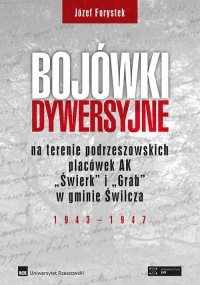 Bojówki dywersyjne na terenie podrzeszowskich - okładka książki