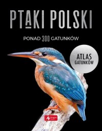 Ptaki Polski Atlas gatunków - okładka książki