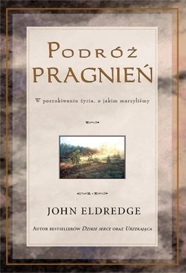 Podróż pragnień. W poszukiwaniu - okładka książki