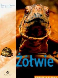Żółwie Seria: Zwierzęta w domu - okładka książki