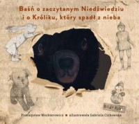 Baśń o zaczytanym Niedźwiedziu - okładka książki