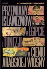 Przemiany islamizmów w Egipcie - okładka książki
