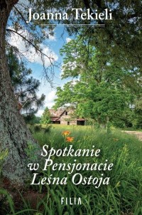 Spotkanie w Pensjonacie Leśna Ostoja - okładka książki