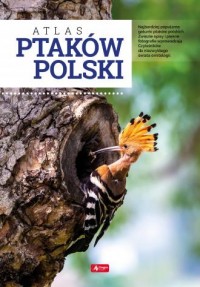 Atlas ptaków Polski - okładka książki