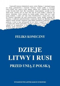 Dzieje Litwy i Rusi przed unią - okładka książki