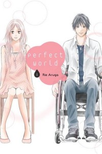 Perfect World #01 - okładka książki