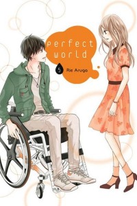 Perfect World #05 - okładka książki