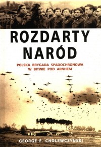 Rozdarty Naród. Polska brygada - okładka książki