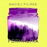 Formalina / Instytut Literatury - okładka książki