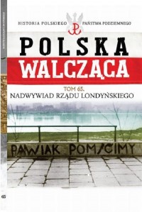 Polska Walcząca. Nadwywiad Rządu - okładka książki