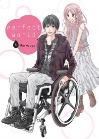 Perfect World #06 - okładka książki