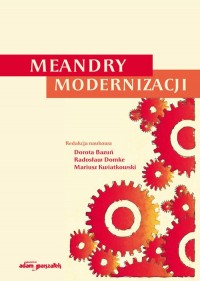 Meandry Modernizacji - okładka książki