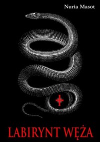 Labirynt węża - okładka książki