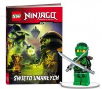 Książka do czytania Lego Ninjago - okładka książki