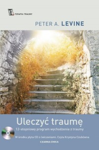 Uleczyć traumę. 12-stopniowy program - okładka książki