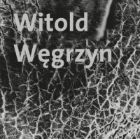 Witold Węgrzyn. Nieuchwytna materialność - okładka książki