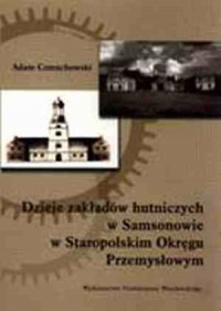 Dzieje zakładów hutniczych w Samsonowie - okładka książki