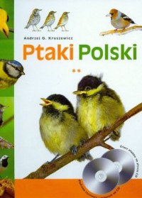 Ptaki Polski. Wróblowe - ptaki - okładka książki