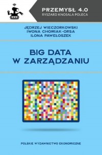 Big data w zarządzaniu - okładka książki