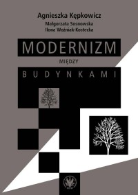 Modernizm między budynkami - okładka książki