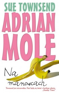 Adrian Mole. Na manowcach - okładka książki