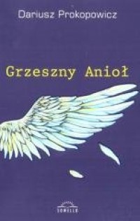 Grzeszny Anioł - okładka książki
