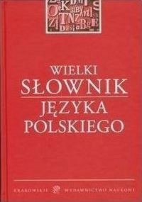 Wielki słownik języka polskiego - okładka książki